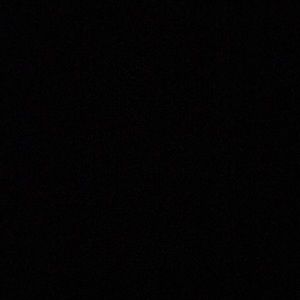 Meet your Posher, Gavin